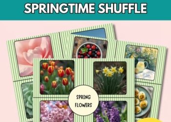 Spring 4 Corners Game l Brain Breaks l Morning Meeting l SEL l Inside Recess